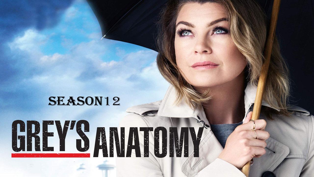 مسلسل Grey's Anatomy الموسم 12 الحلقة 7 السابعة