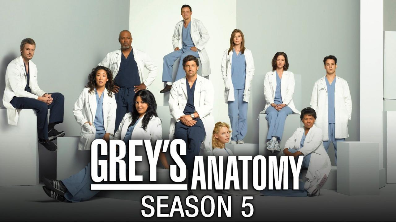 مسلسل Grey's Anatomy الموسم الخامس الحلقة 18 الثامنة عشر