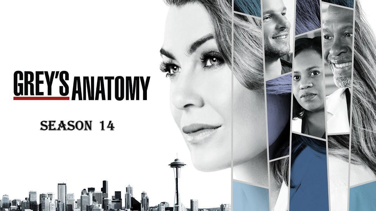 مسلسل Grey's Anatomy الموسم 14 الحلقة 9 التاسعة