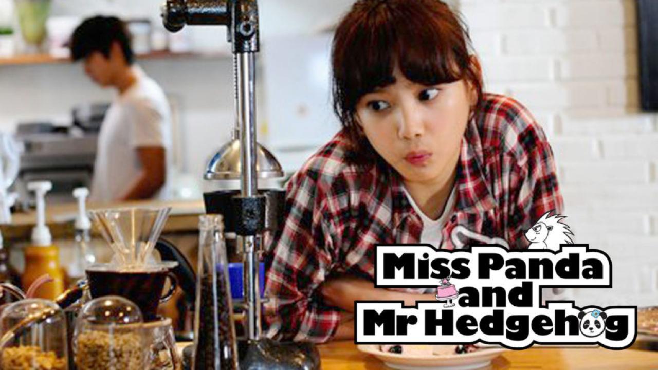 مسلسل Miss Panda Mr Hedgehog الحلقة 1 الاولي مترجمة